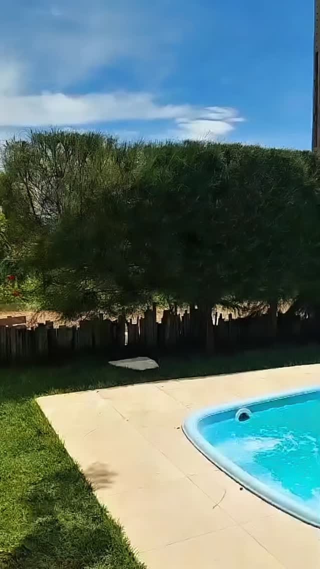 Post 3 by Beach Home Piauí - Imóveis no Litoral on Instagram (video)