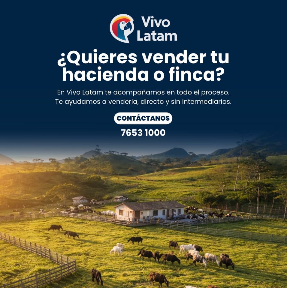 Post 1 by Vivo Latam on Instagram (image)
