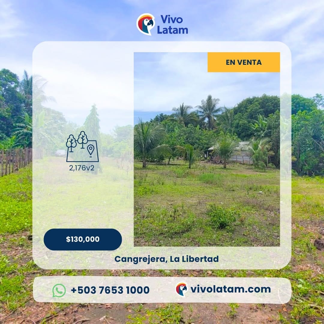 Post 7 by Vivo Latam on Instagram (carousel)