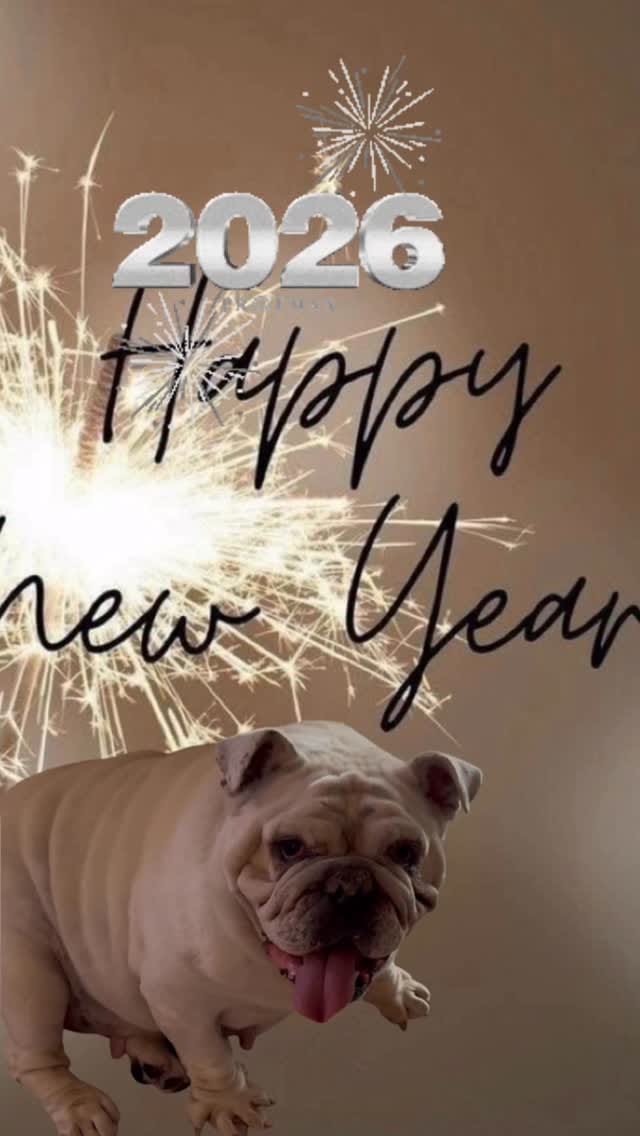 Post 7 by Timmo & Lola on Instagram (video)