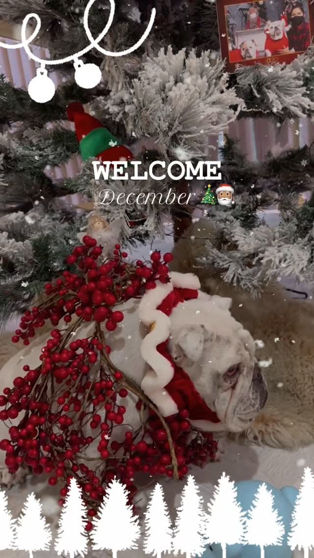 Post 10 by Timmo & Lola on Instagram (video)