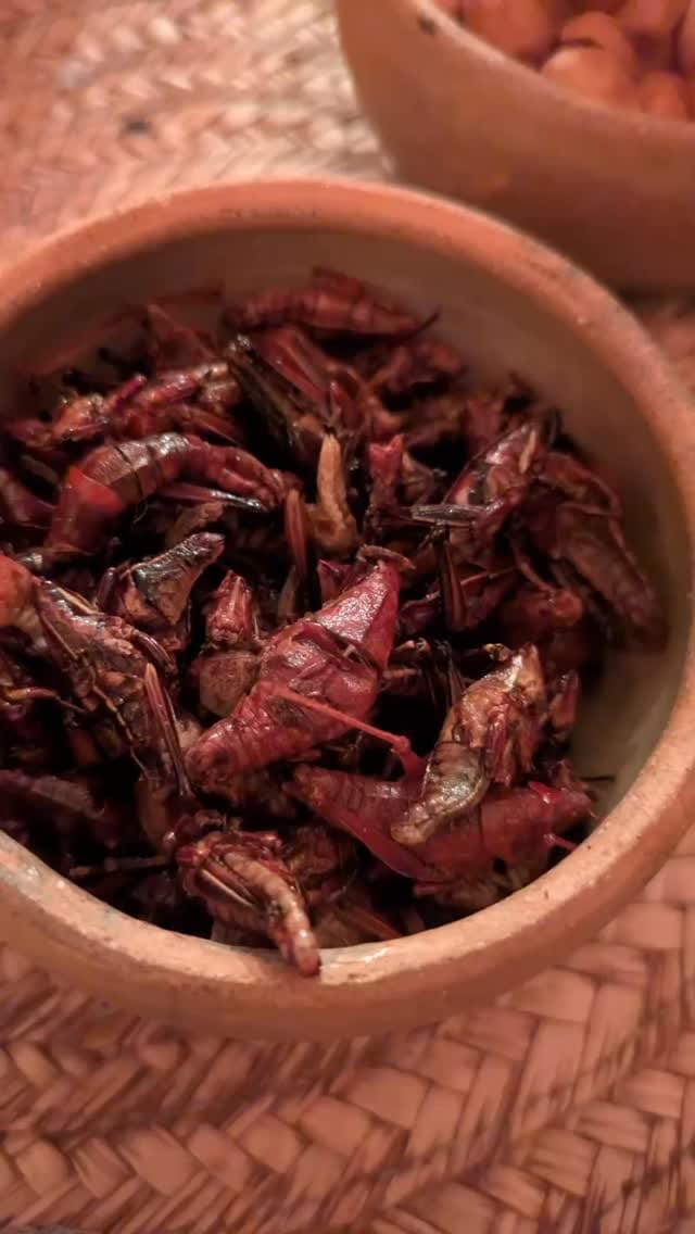 Post 3 by Fabiola Santiago | mezcal | migration | motherhood on Instagram (video)