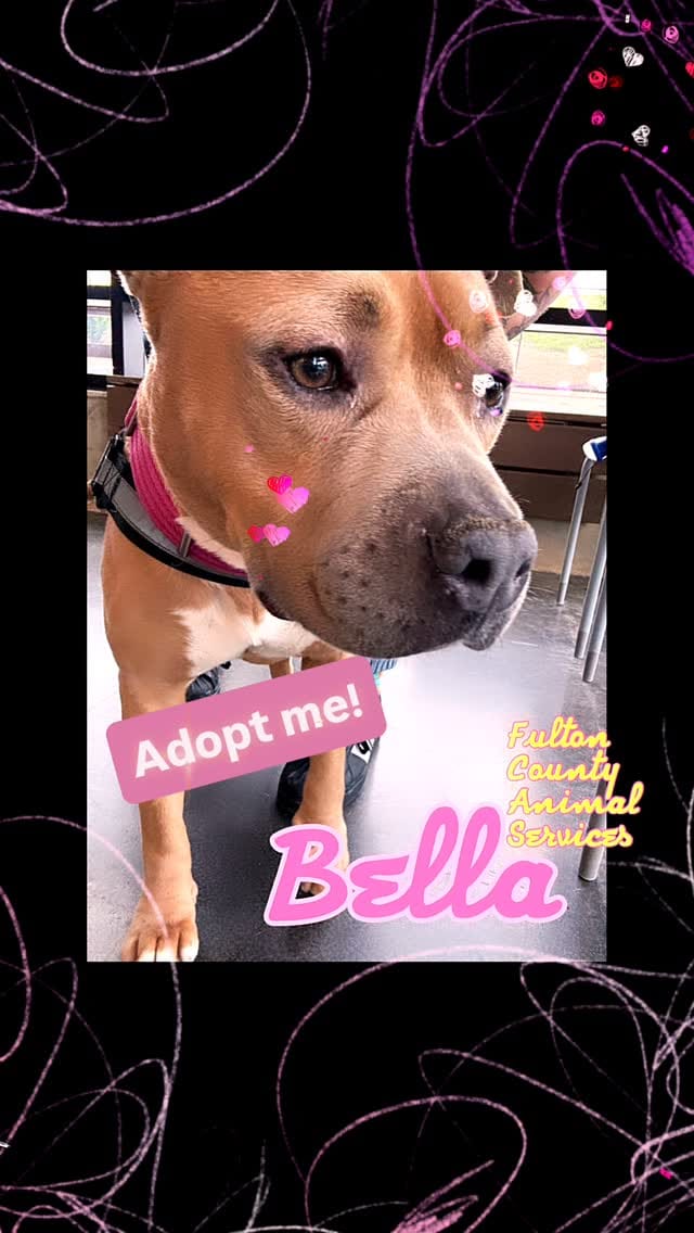 Post 1 by Dottie Waffles on Instagram (video)