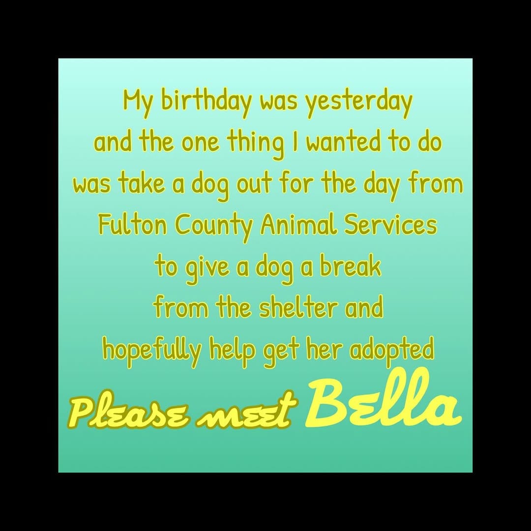 Post 5 by Dottie Waffles on Instagram (carousel)