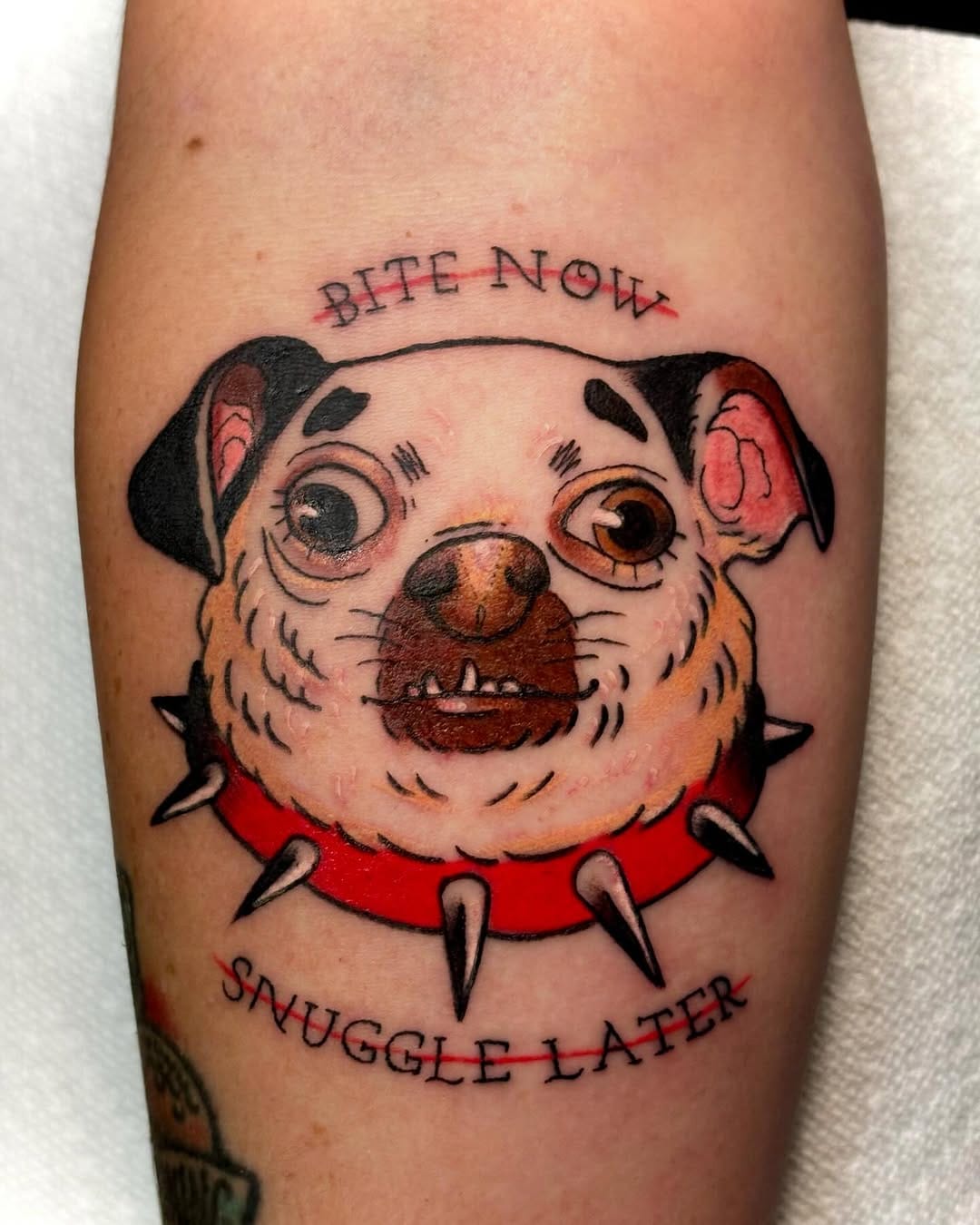 Post 9 by Dottie Waffles on Instagram (carousel)