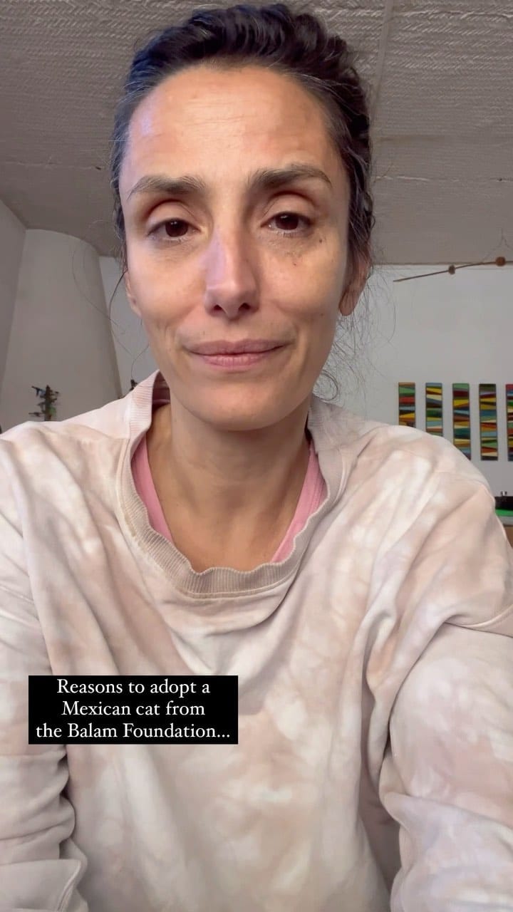 Post 9 by Phaedra Barratt on Instagram (video)