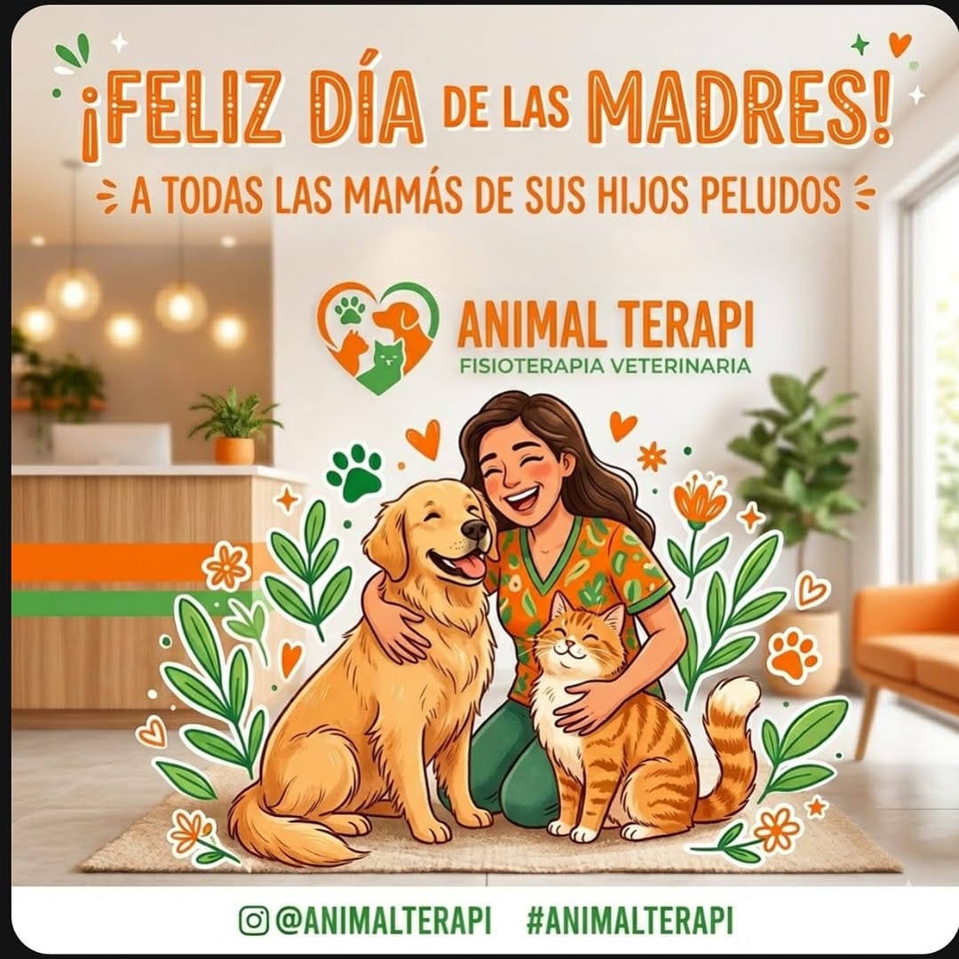 Post 6 by Animal terapi on Instagram (image)