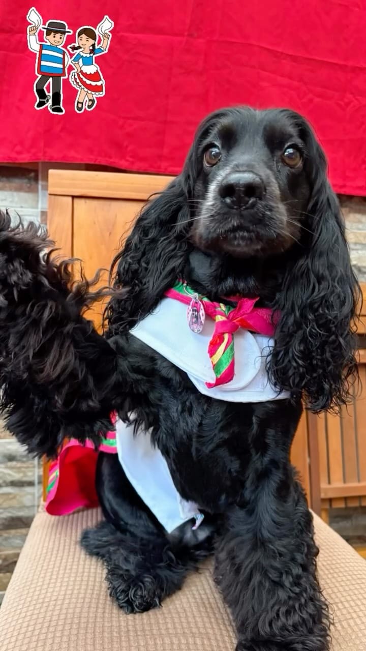 Post 7 by POLLY 🐾💕 on Instagram (video)