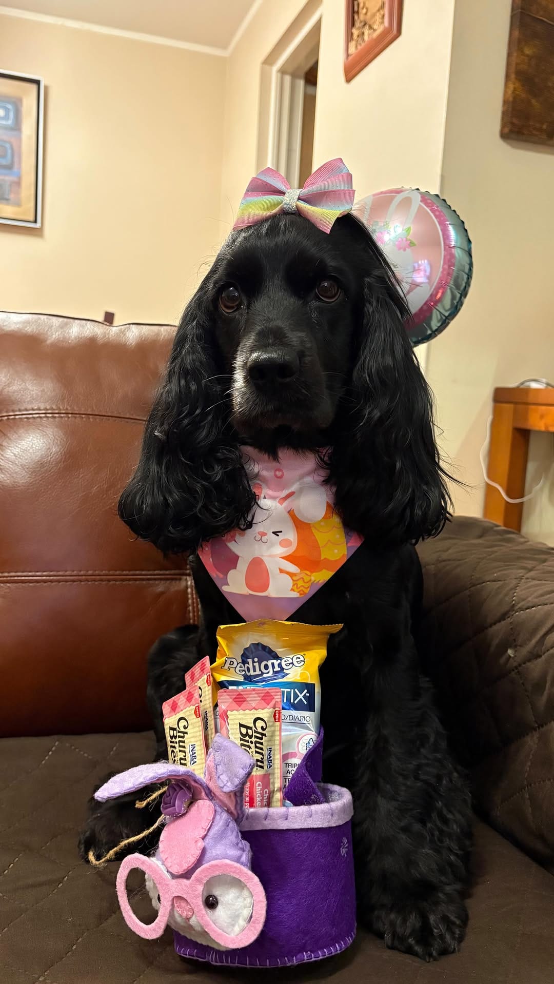 Post 10 by POLLY 🐾💕 on Instagram (video)
