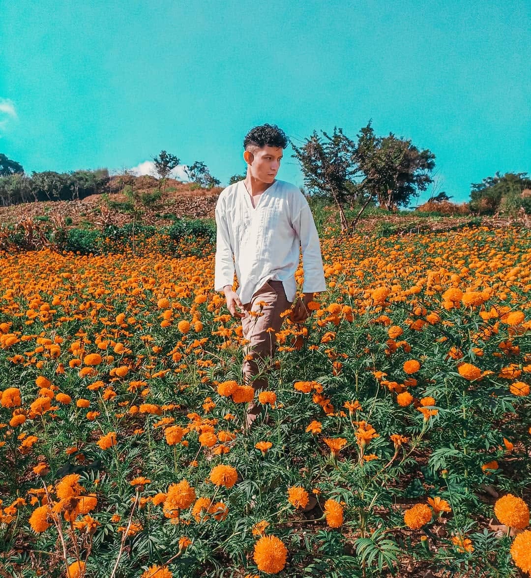Post 8 by Frank Mena on Instagram (image)