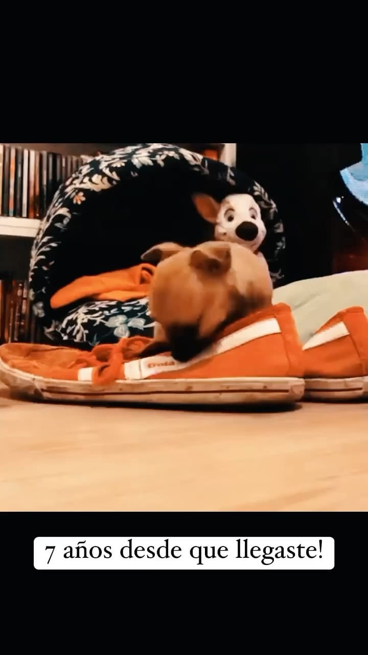 Post 6 by Fabrizio Romano on Instagram (video)