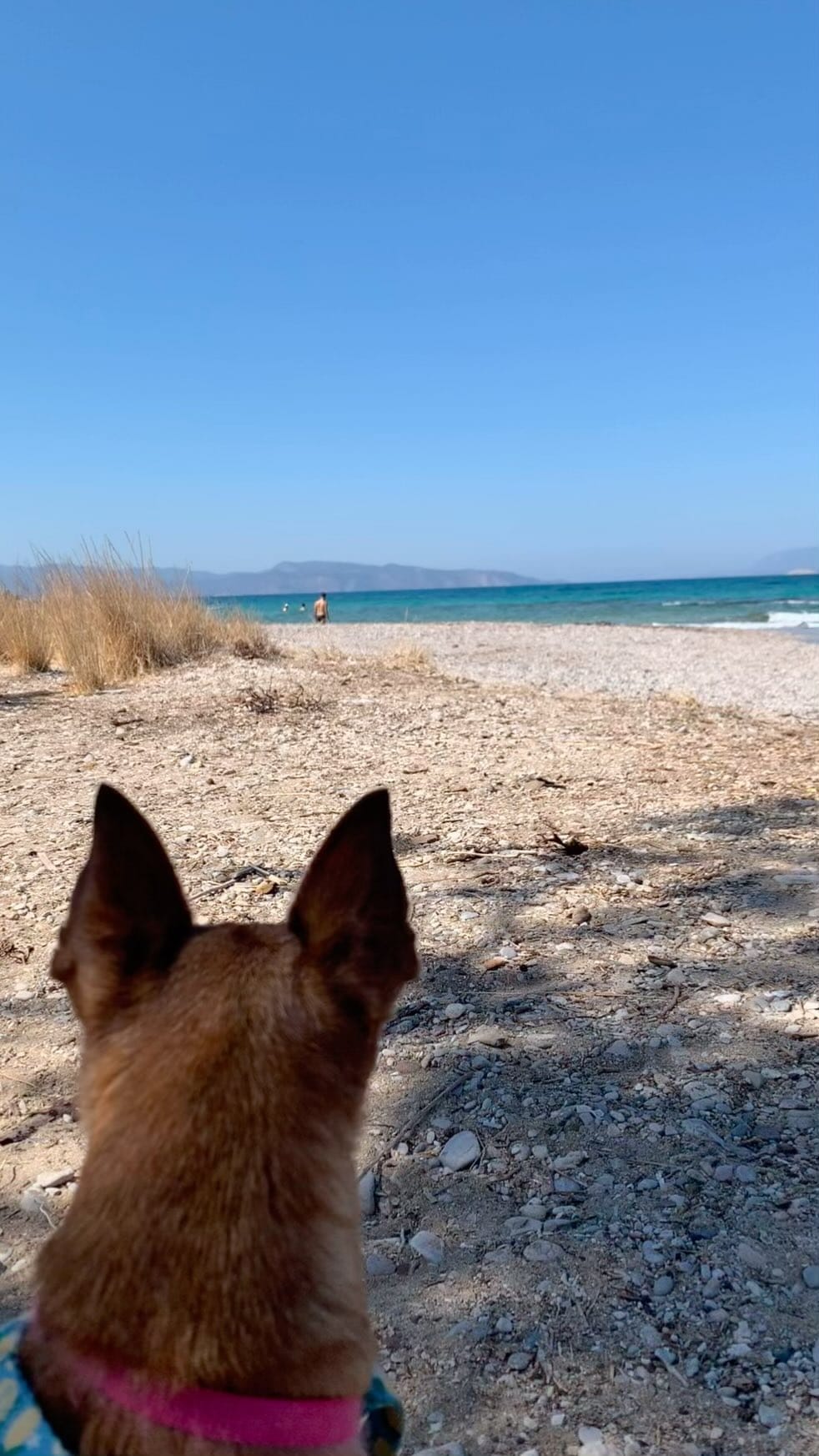 Post 5 by Fabrizio Romano on Instagram (video)