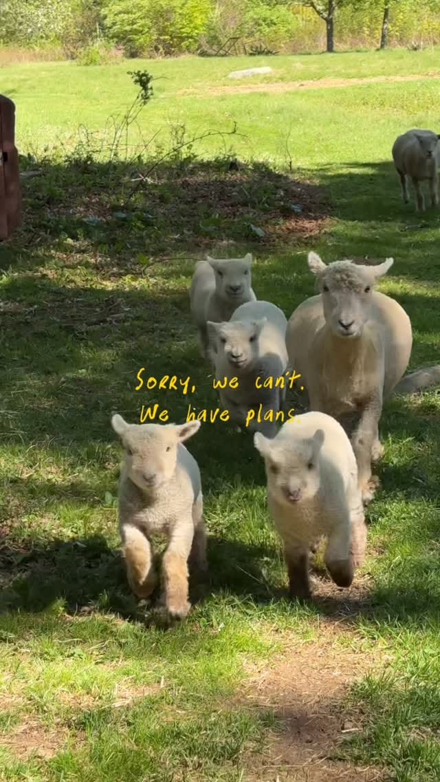 Post 8 by Stephenie Watts on Instagram (video)