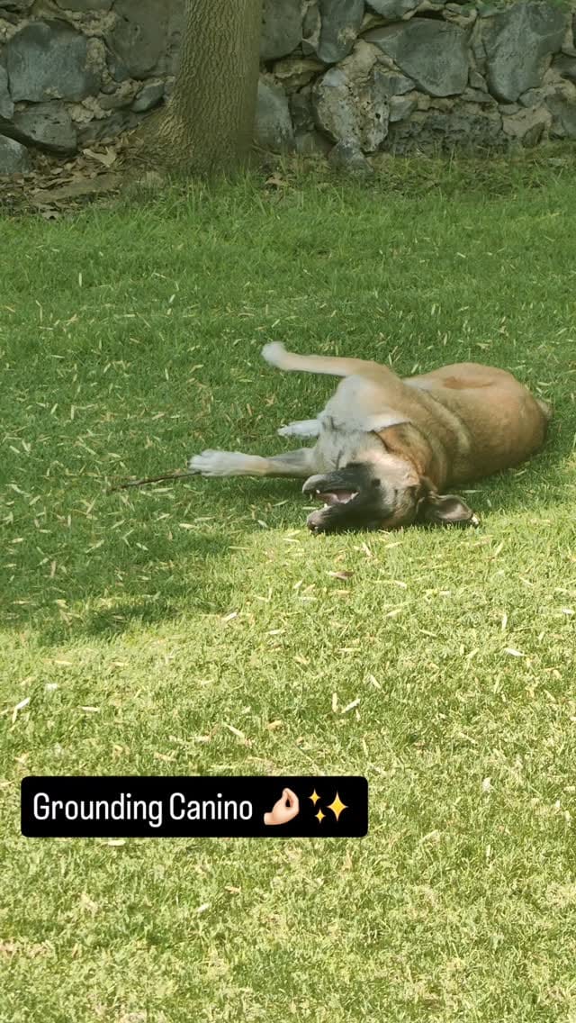 Post 6 by MVZEN on Instagram (video)
