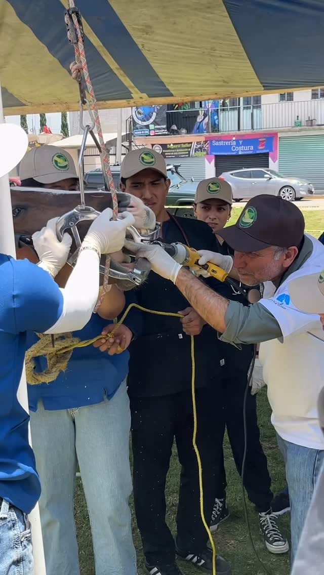 Post 4 by Defensoria Animal on Instagram (video)