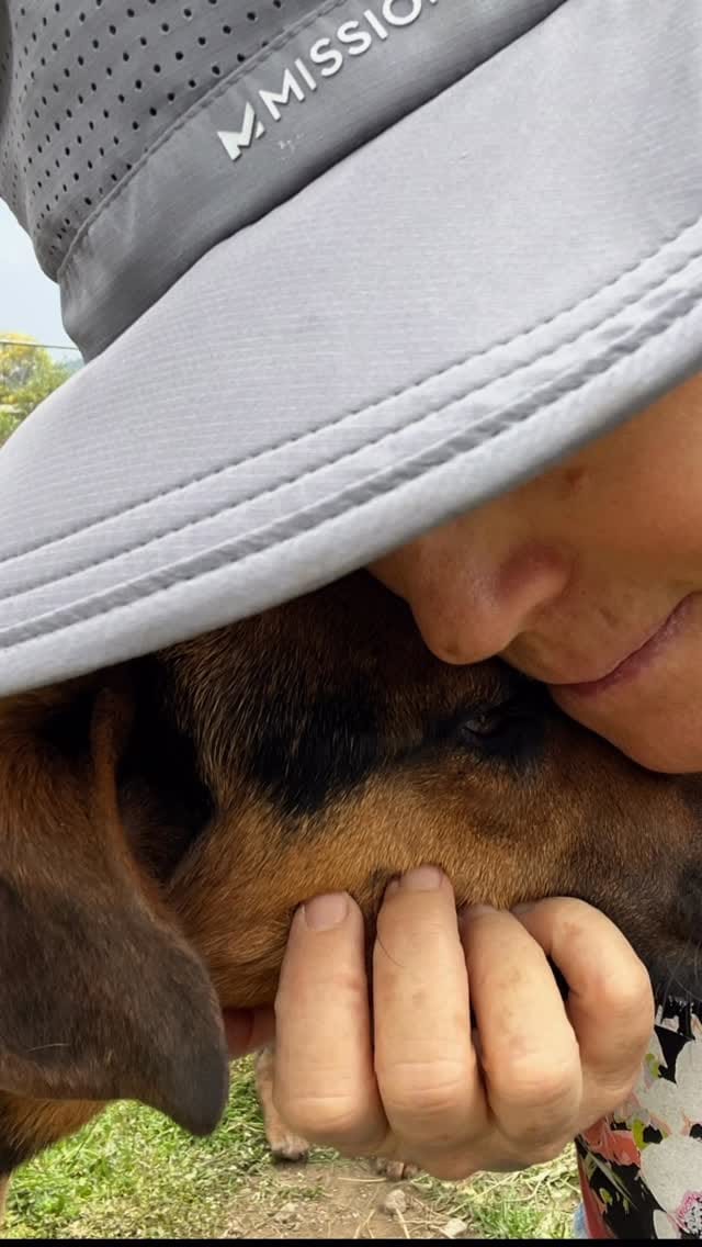 Post 10 by Defensoria Animal on Instagram (video)