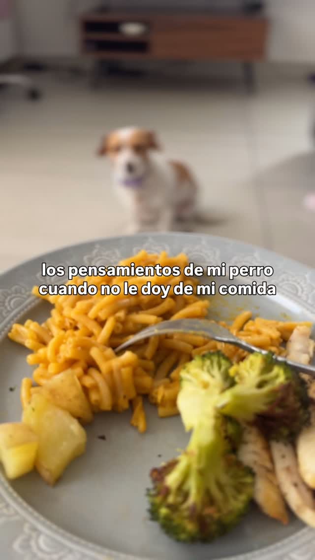 Post 9 by Celinna & Mila on Instagram (video)