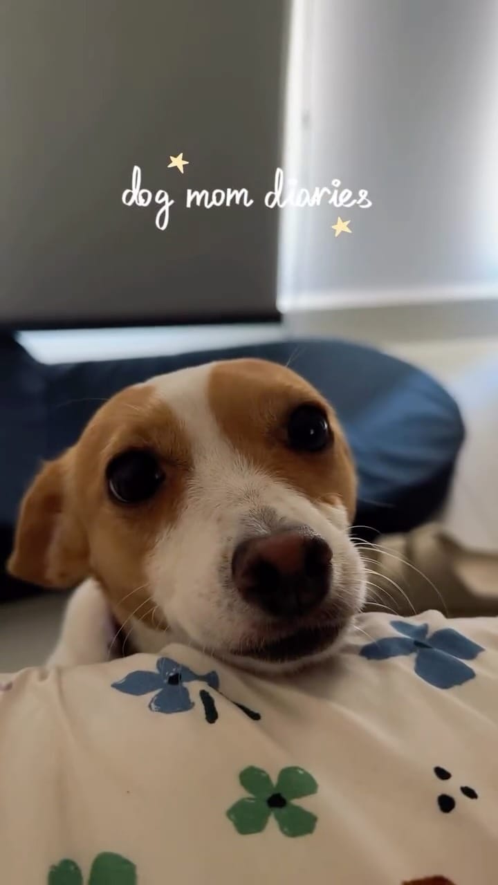 Post 2 by Celinna & Mila on Instagram (video)