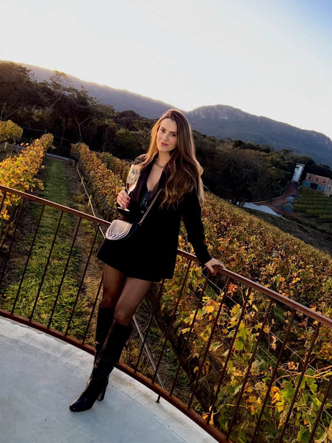 Post 6 by Angelica Maia on Instagram (image)