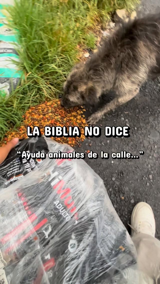 Post 7 by La Casa de Todos Mx. on Instagram (video)