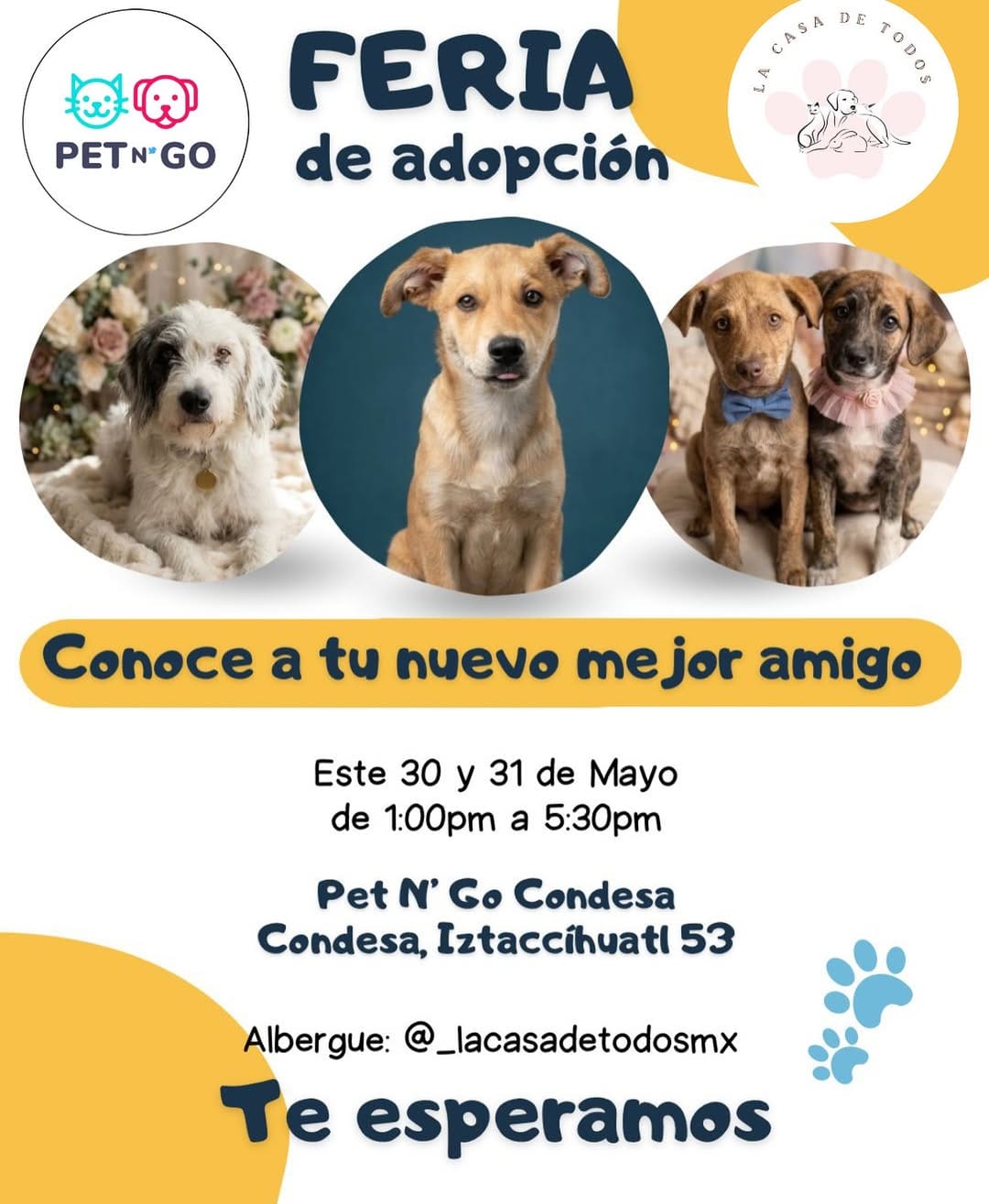Post 8 by La Casa de Todos Mx. on Instagram (image)