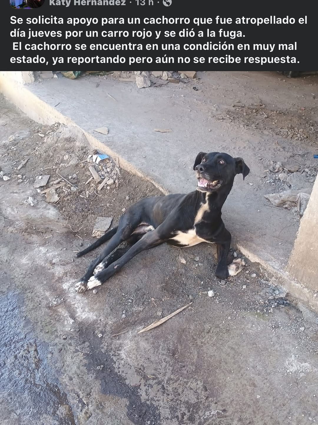 Post 6 by La Casa de Todos Mx. on Instagram (carousel)