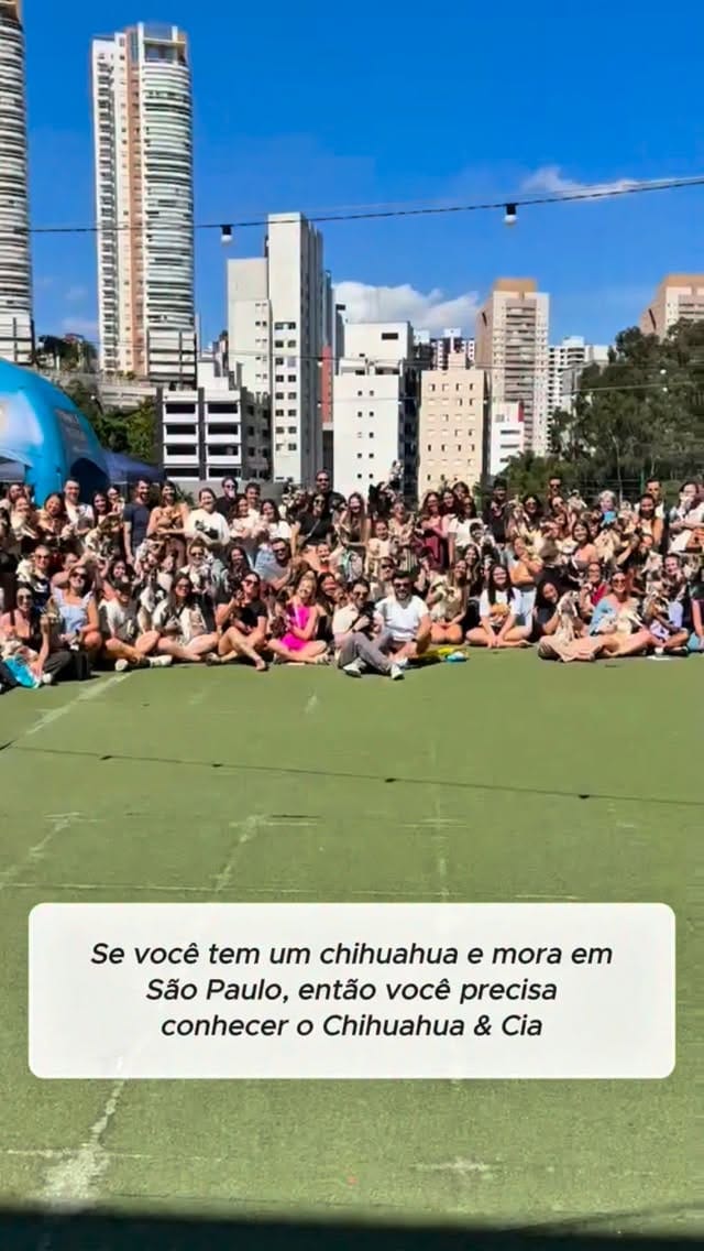 Post 10 by Chihuahua & Cia | Encontros Pet on Instagram (video)