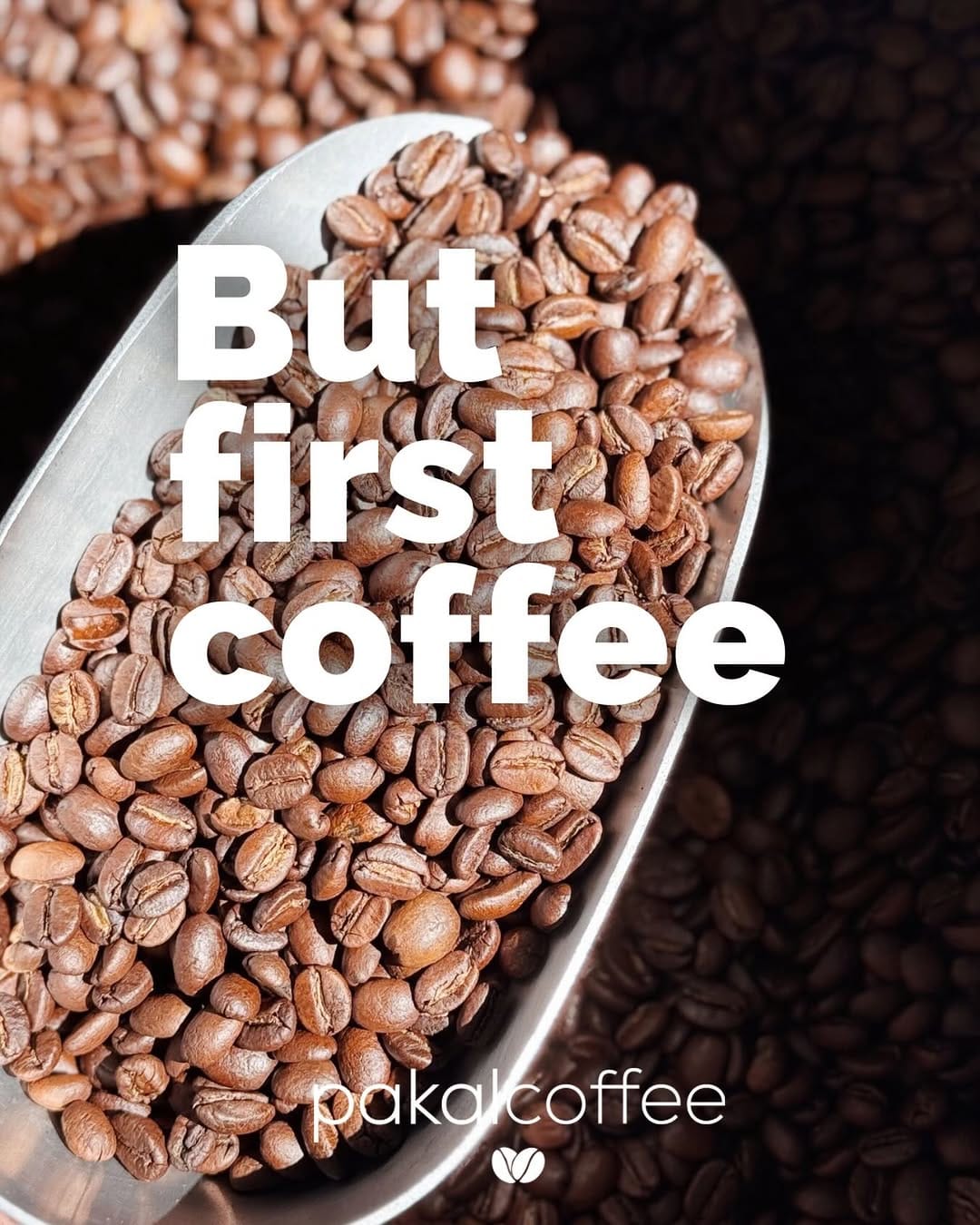Post 6 by Pakal Coffee Roasters on Instagram (image)
