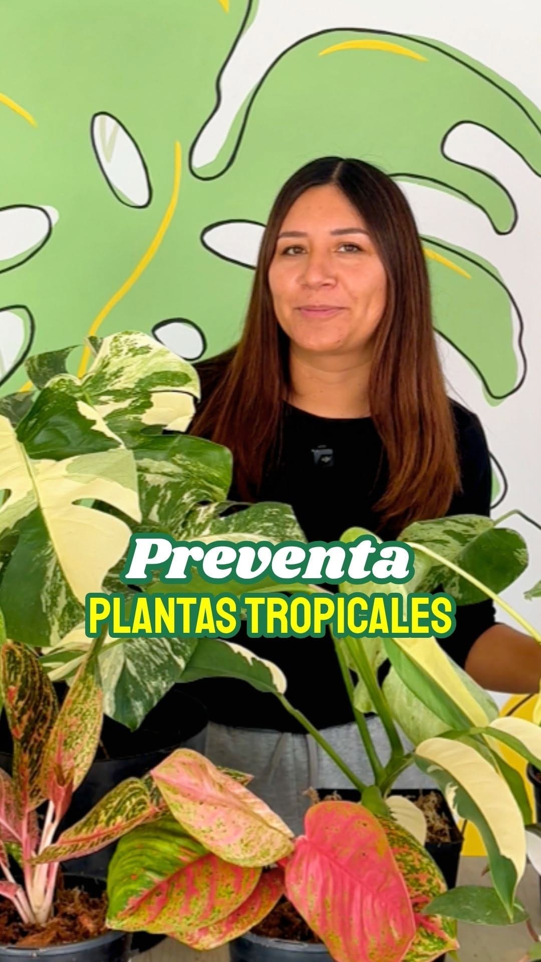 Post 2 by Tienda de suculentas exóticas y cactus raros. 🌱 on Instagram (video)