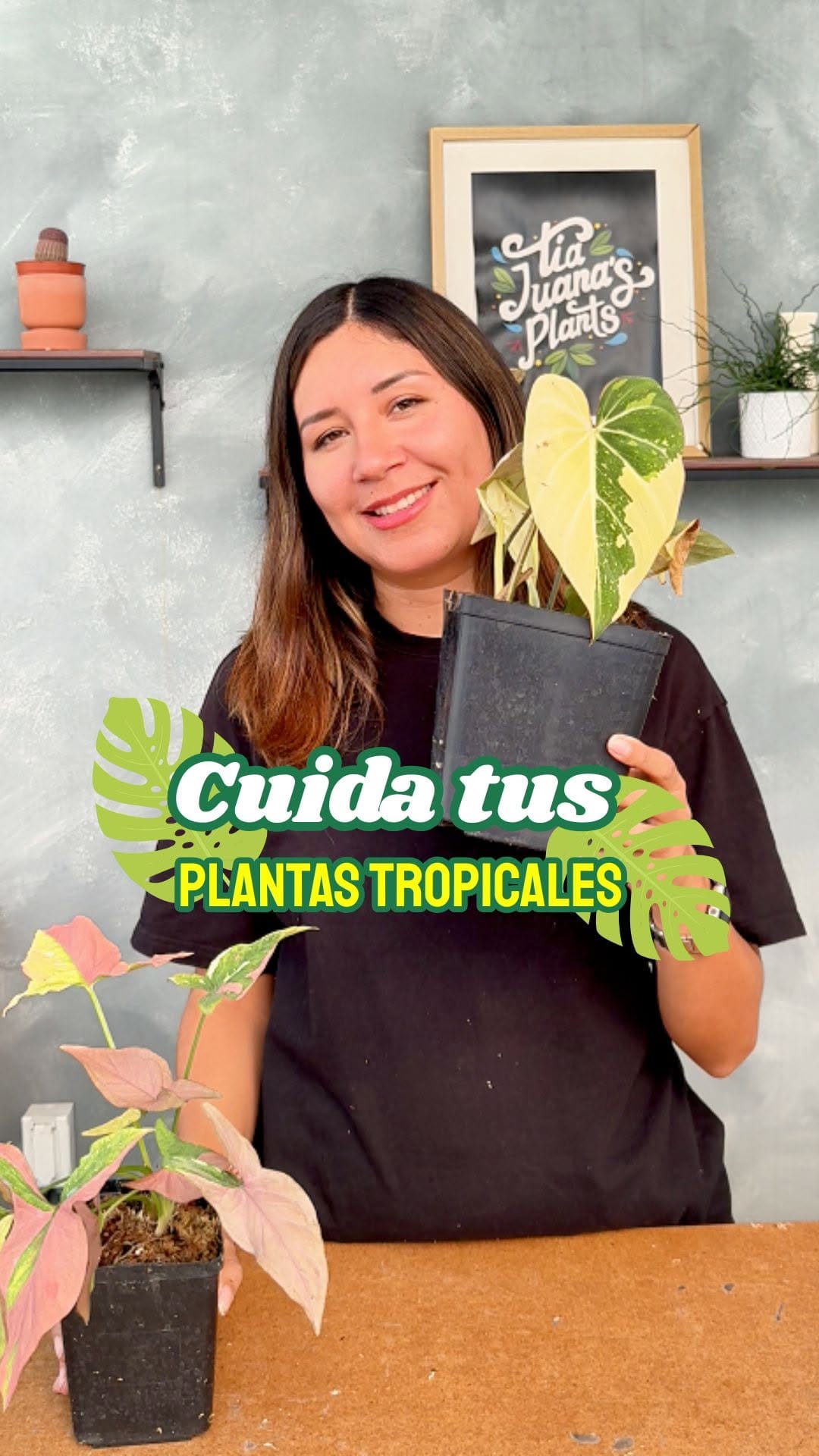 Post 3 by Tienda de suculentas exóticas y cactus raros. 🌱 on Instagram (video)
