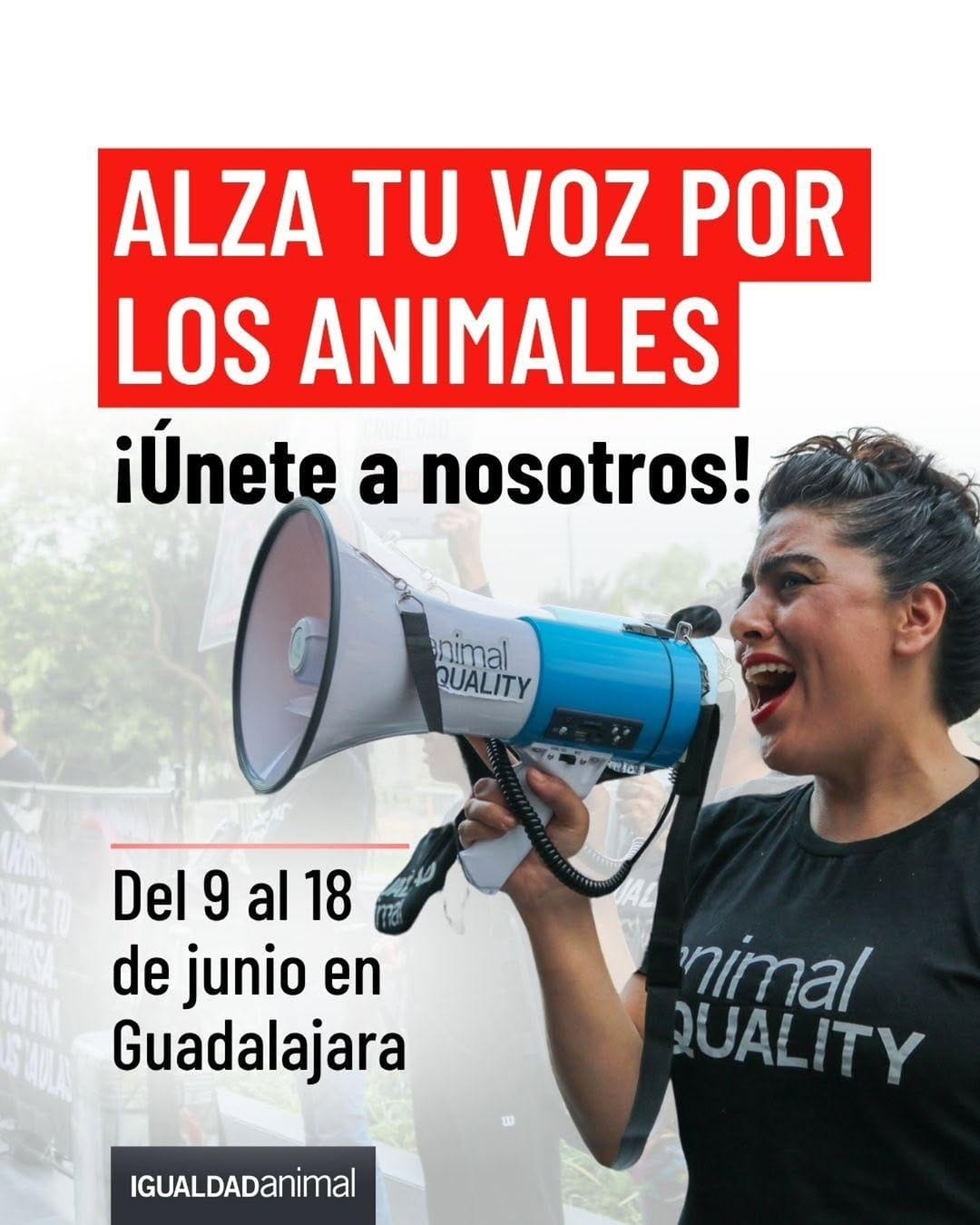 Post 2 by Igualdad Animal México on Instagram (image)