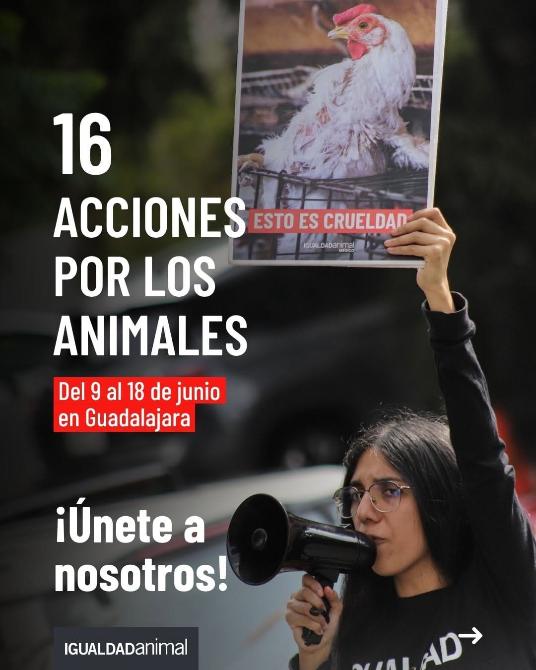 Post 4 by Igualdad Animal México on Instagram (carousel)