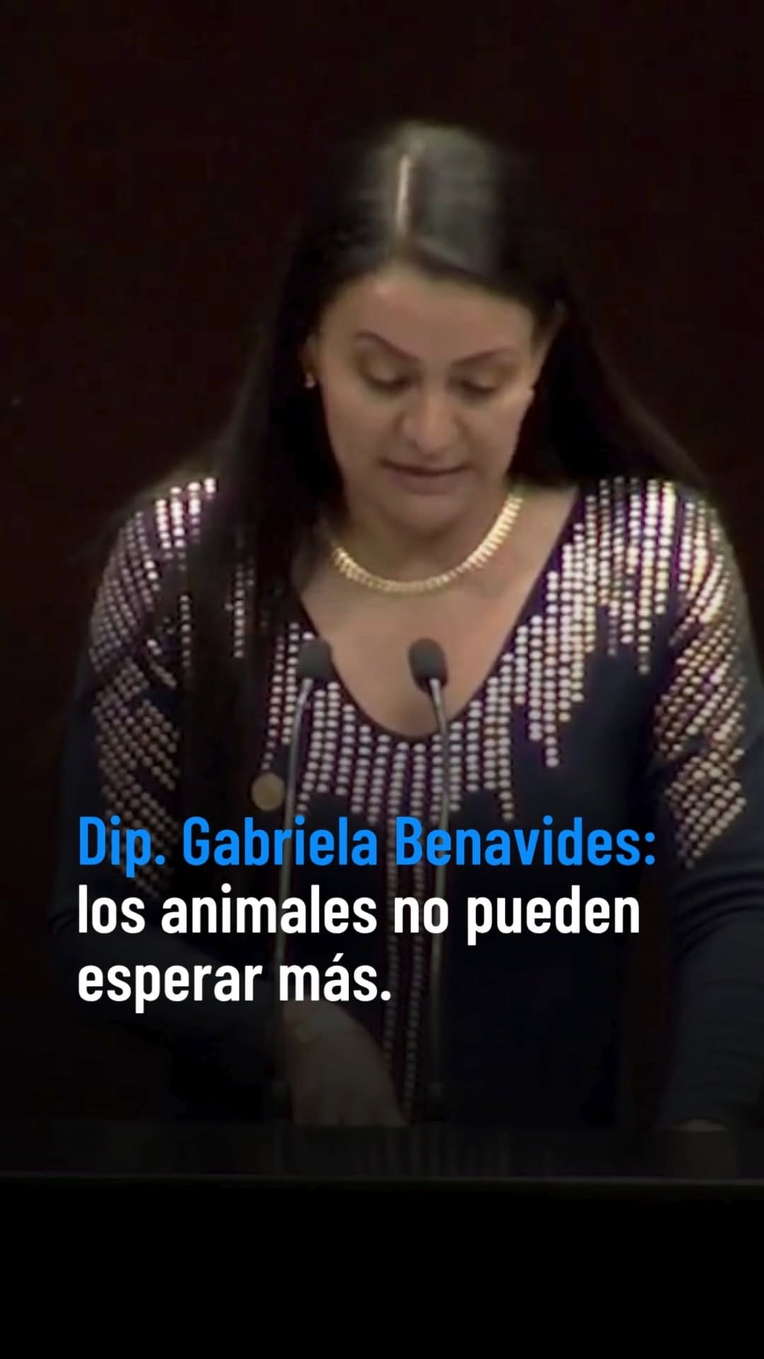 Post 5 by Igualdad Animal México on Instagram (video)