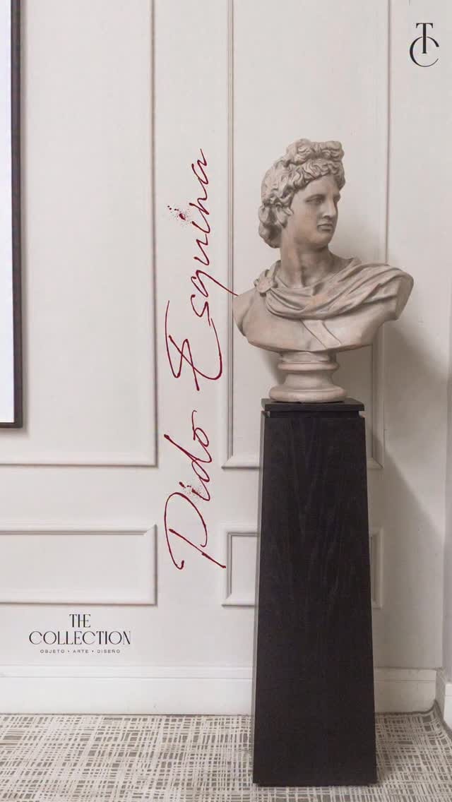 Post 10 by The Collection | muebles | accesorios | interiorismo | moda on Instagram (video)