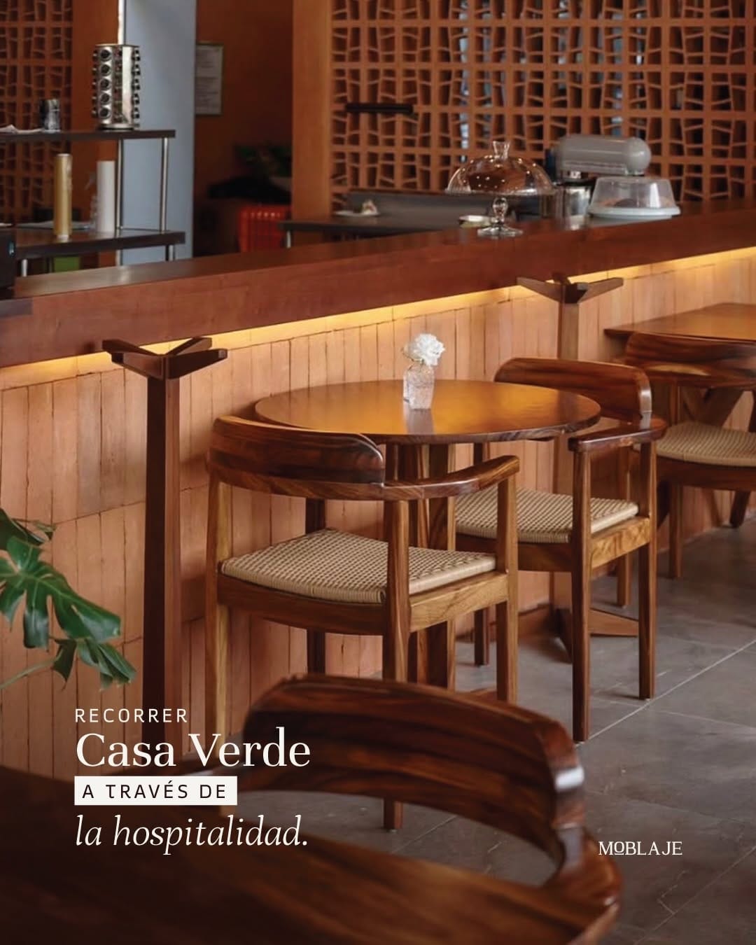 Post 1 by Casa Verde on Instagram (carousel)