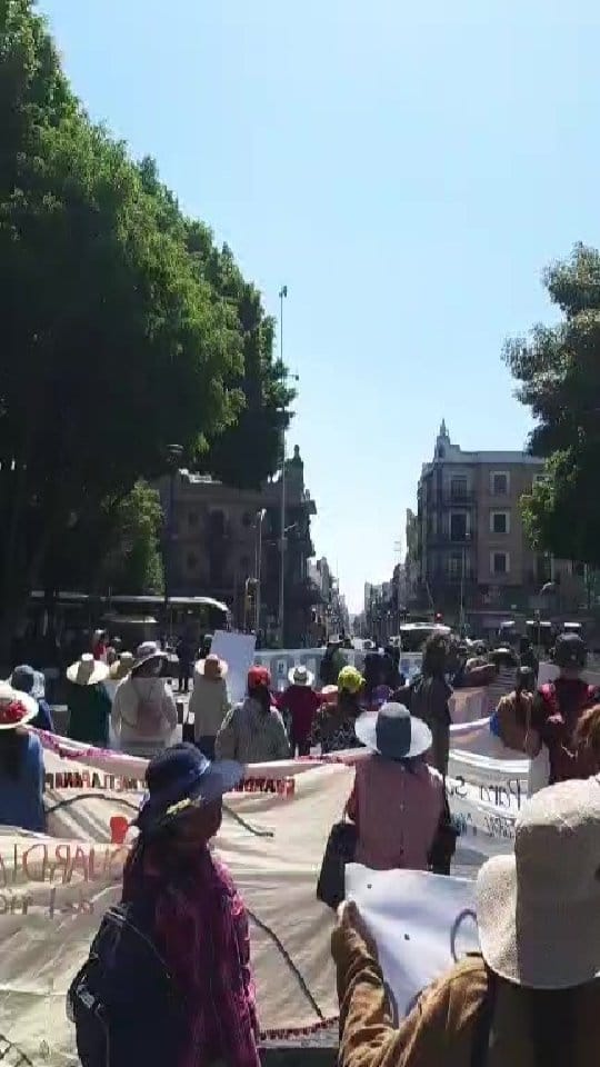 Post 8 by Viernes Por el Futuro Puebla on Instagram (video)