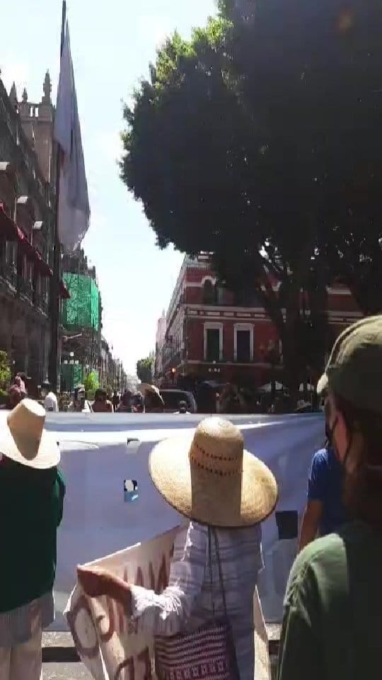 Post 7 by Viernes Por el Futuro Puebla on Instagram (video)