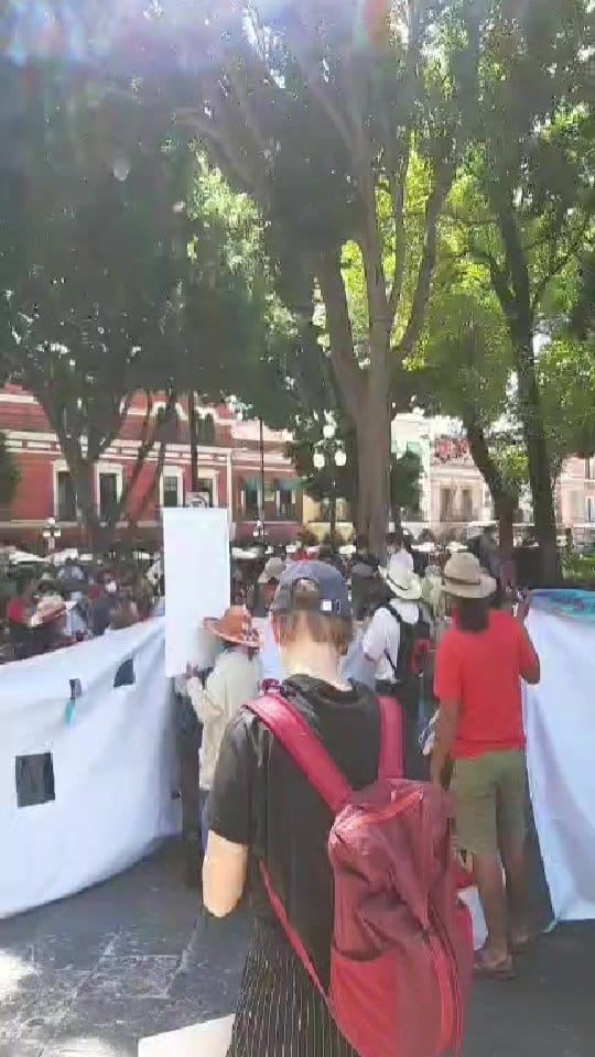Post 6 by Viernes Por el Futuro Puebla on Instagram (video)