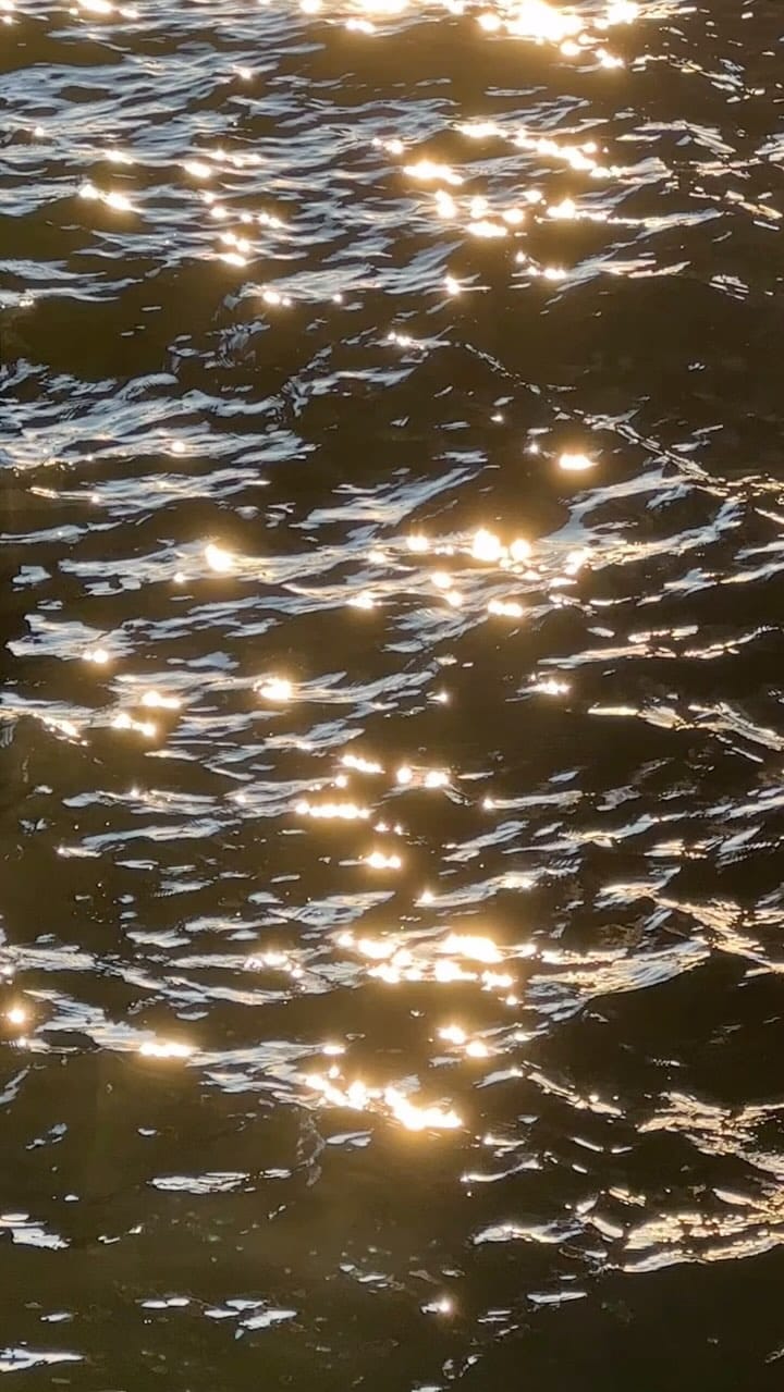 Post 10 by Daniel Balderas on Instagram (video)