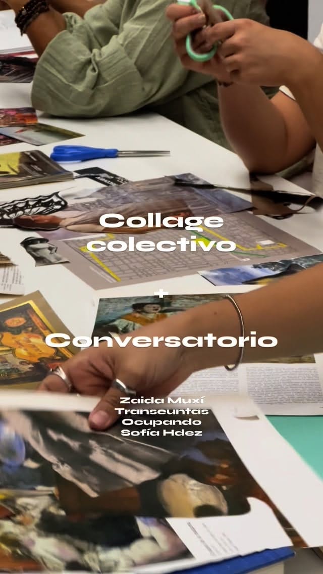 Post 8 by Sofía Hernández M. on Instagram (video)