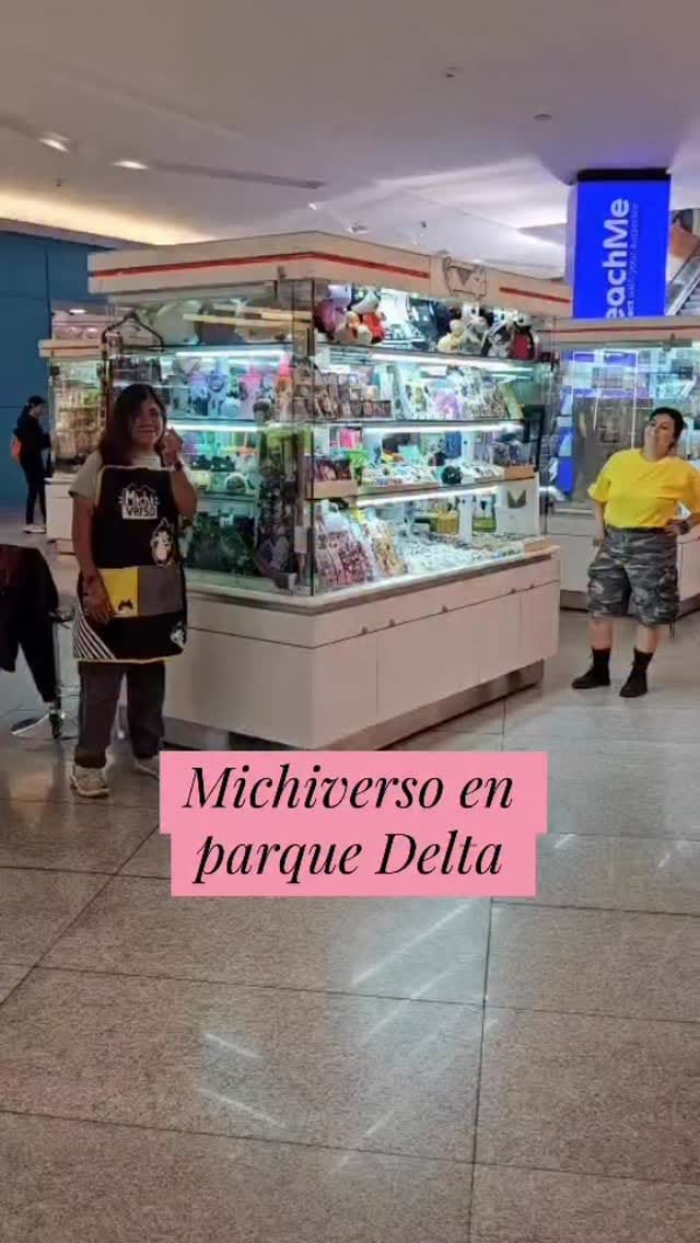 Post 3 by Lore MICHIVERSO on Instagram (video)