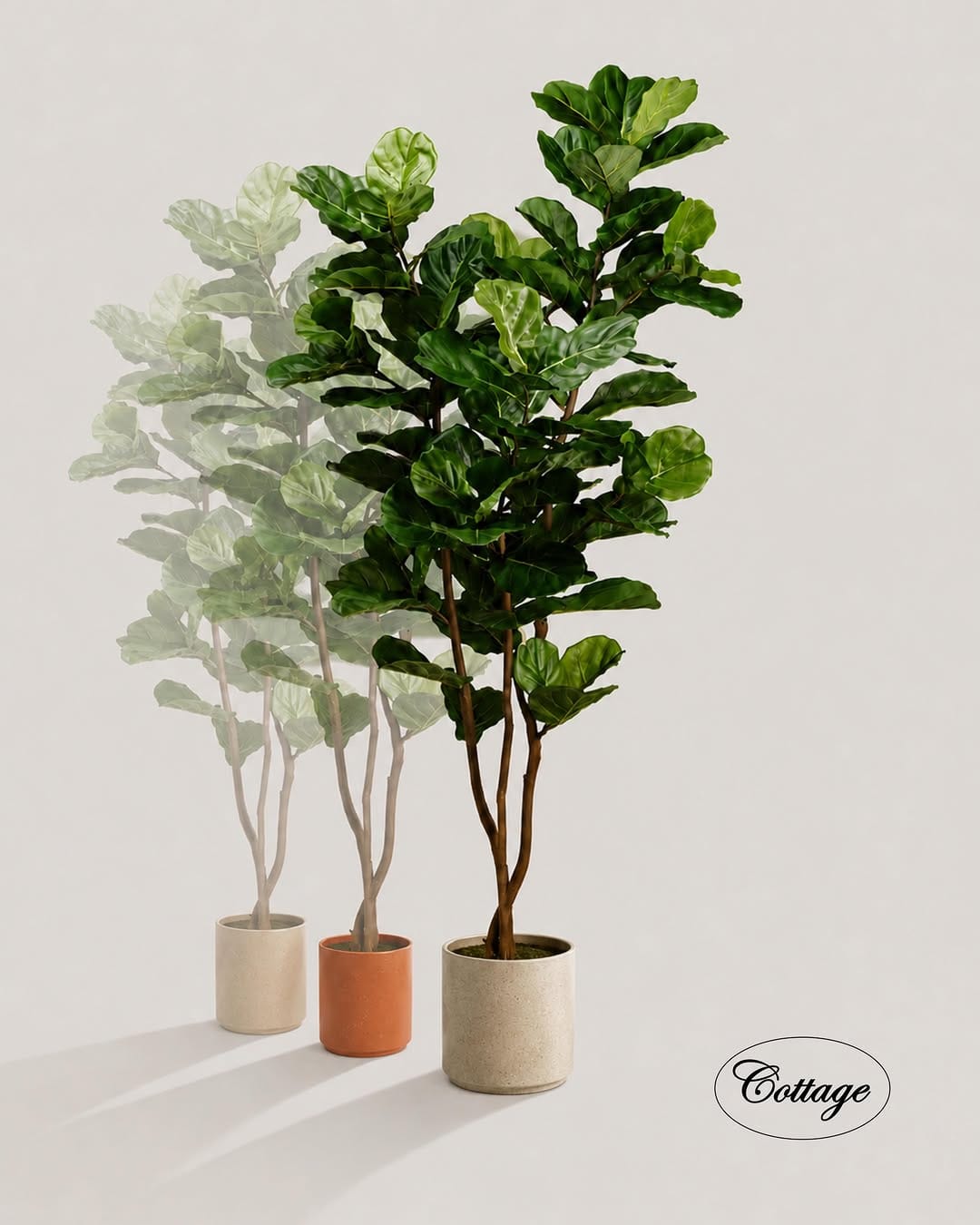Post 8 by Cottage Acentos Deco on Instagram (image)