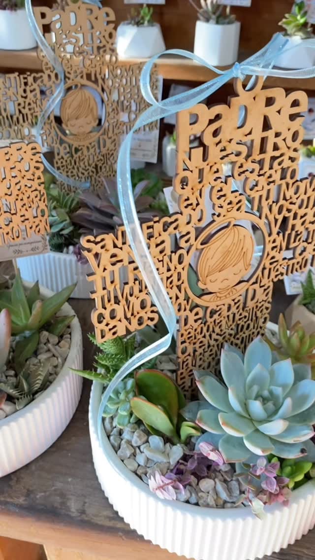 Post 3 by TIERRA VERDE VIVERO on Instagram (video)