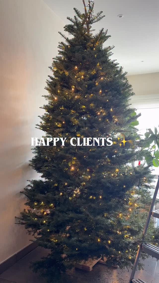 Post 8 by ÚNICO DECORACIÓN NAVIDAD on Instagram (video)