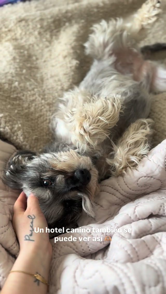 Post 2 by ¡Todo en un solo lugar! 🫶🏼 on Instagram (video)