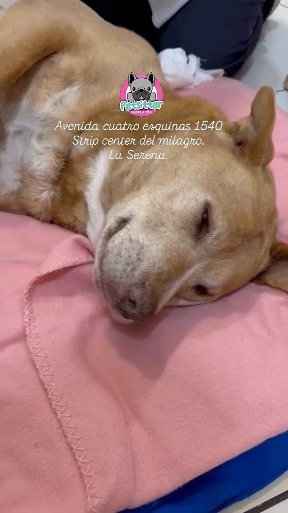 Post 3 by ¡Todo en un solo lugar! 🫶🏼 on Instagram (video)