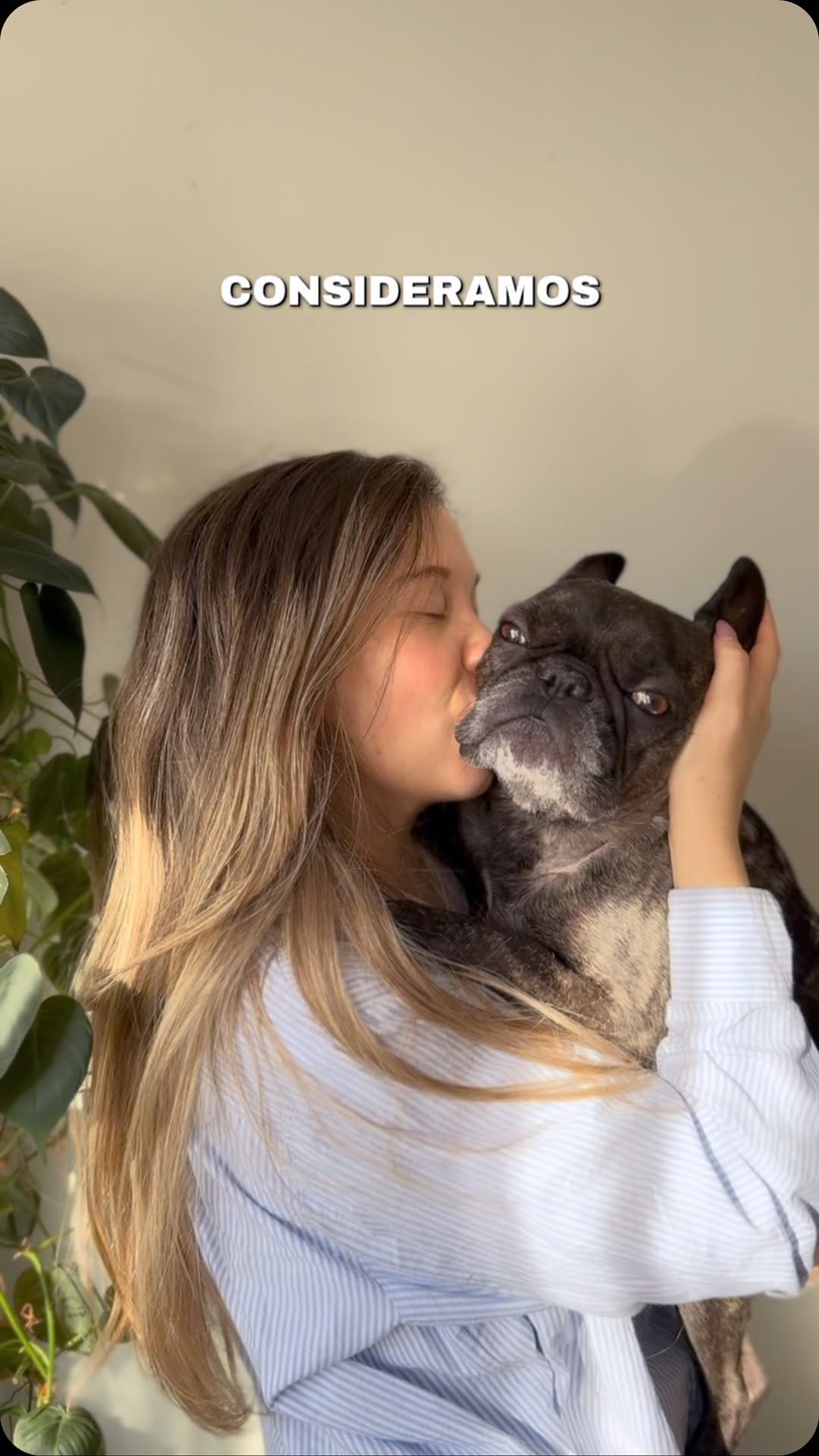 Post 9 by ¡Todo en un solo lugar! 🫶🏼 on Instagram (video)