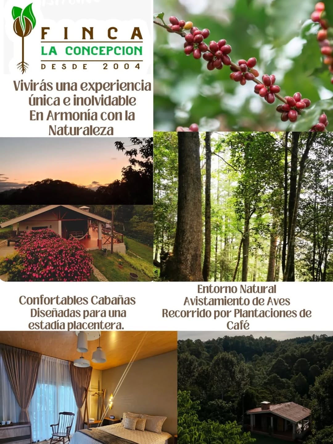 Post 2 by Finca La Concepción on Instagram (image)
