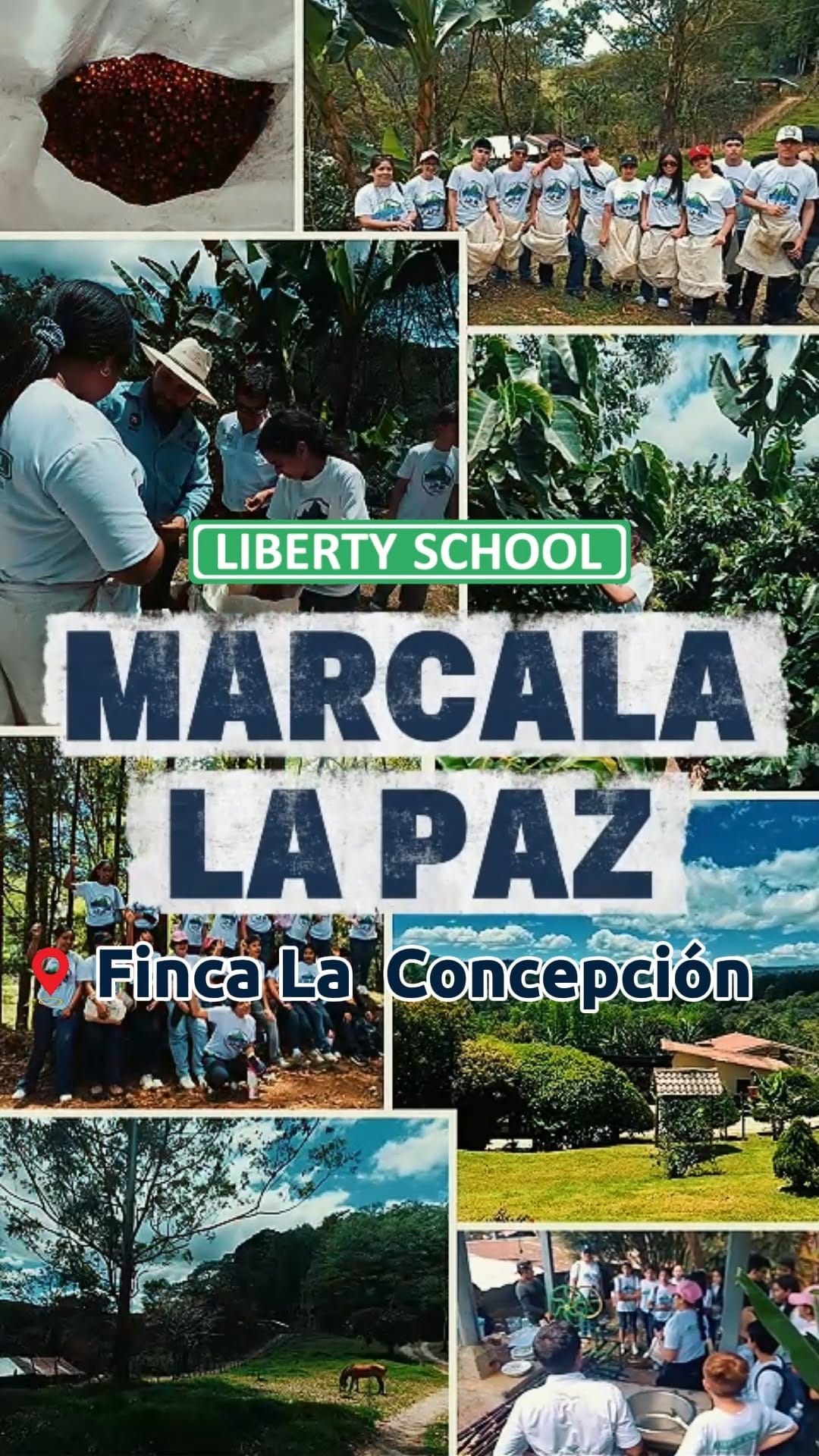 Post 8 by Finca La Concepción on Instagram (video)