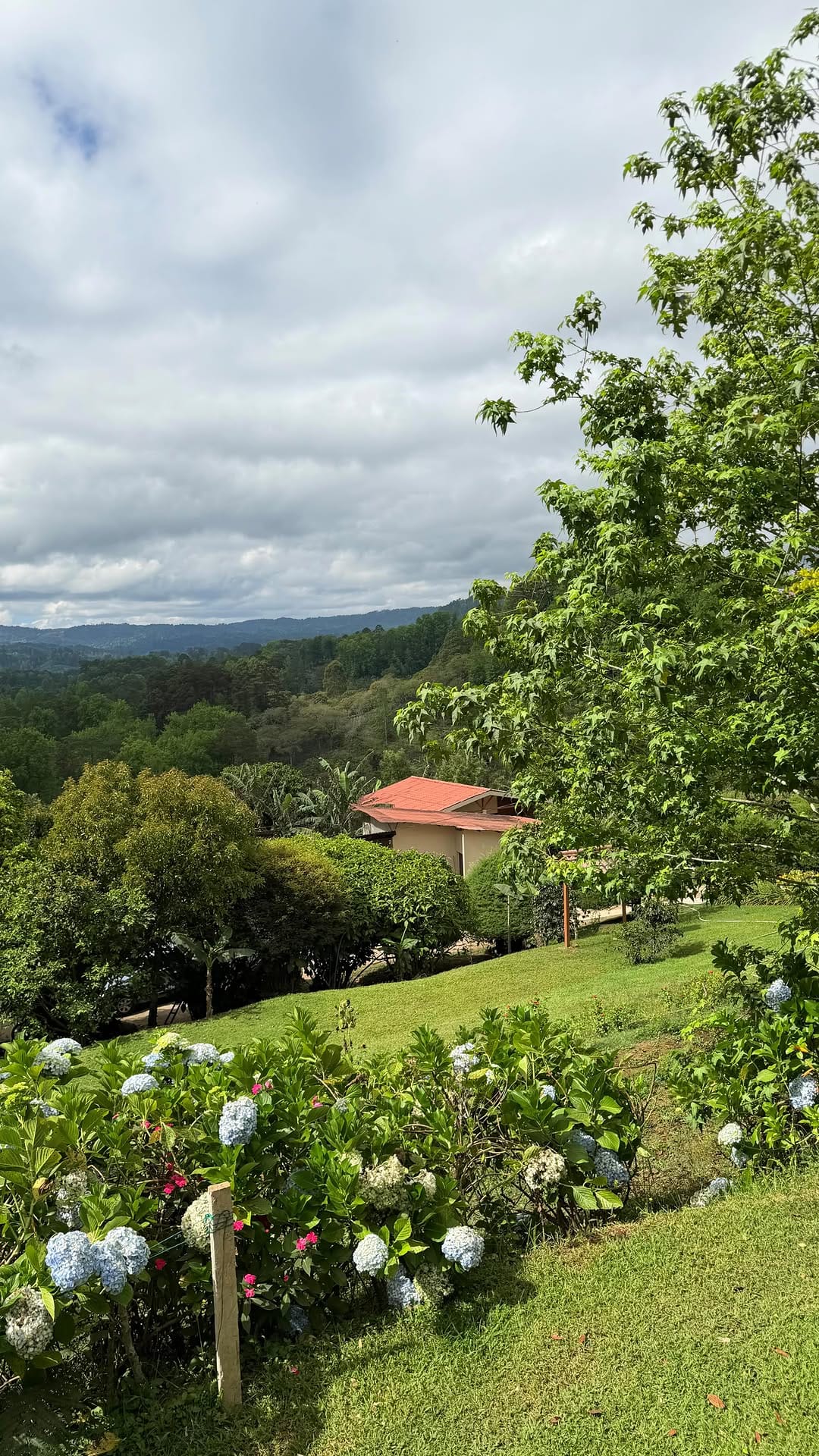 Post 6 by Finca La Concepción on Instagram (video)